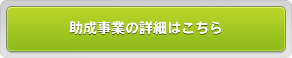 助成事業の詳細はこちら